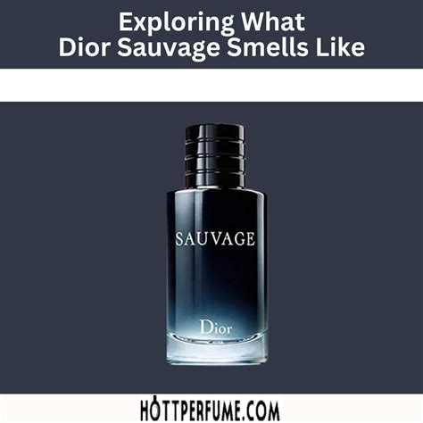 sauvage dior odour|what does dior sauvage smell like.